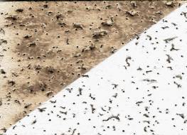 Mineral fibre, before and after Renovation des plafonds,
recoloration de plafonds,
recoloration plafonds suspendus,
plafond suspendu, plafonds suspendus