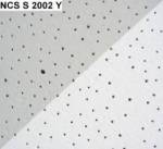 NCS S 2002 Y