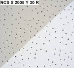 NCS S 2005 Y 30 R