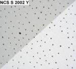 NCS S 2002 Y