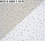 NCS S 2005 Y 30 R