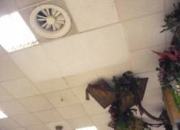 Procoustic L�ftungsauslass nh